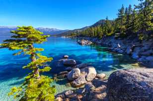 Lake Tahoe-0386.jpg